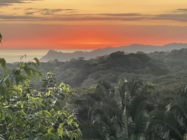 The Costa Rica Chronicles - Image 3